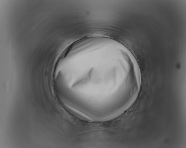 X0000089460289200707061309