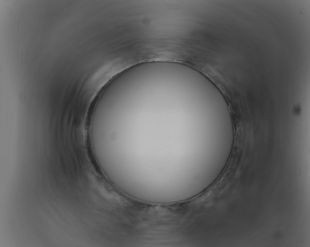 X0000089460290200707061309