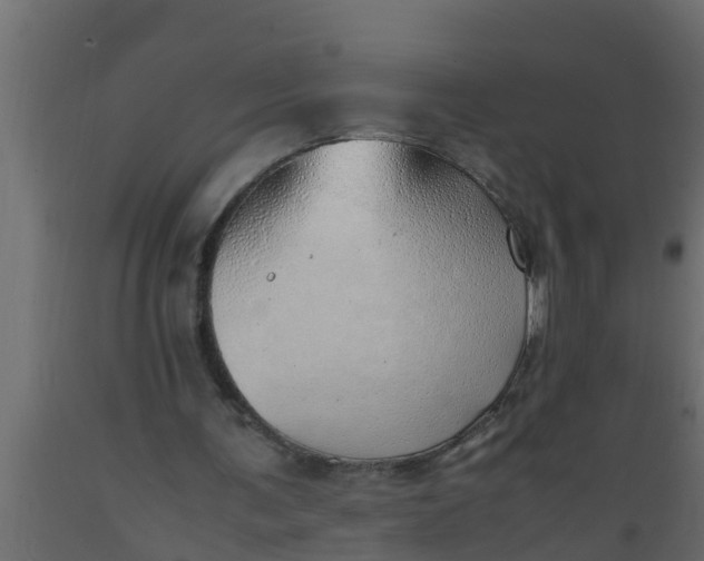 X0000089460291200707061309