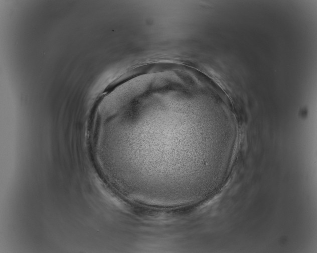 X0000089460293200707061309