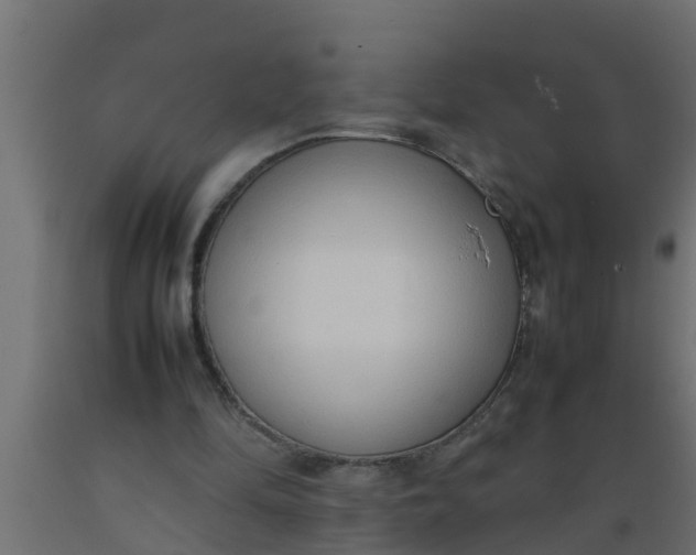 X0000089460294200707061309