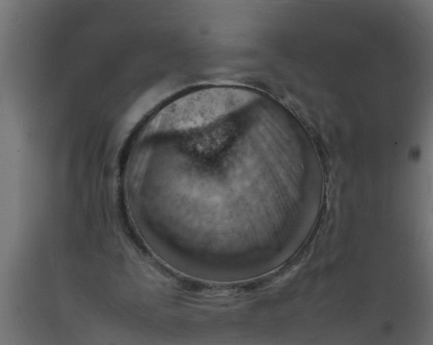X0000089460295200707061309