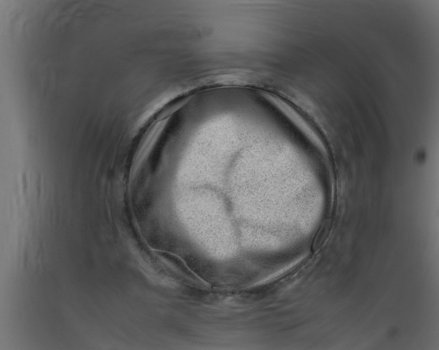 X0000089460297200707061309