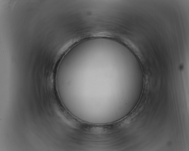 X0000089460298200707061309