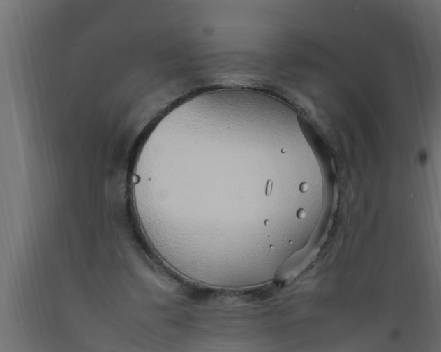 X0000089460299200707061309