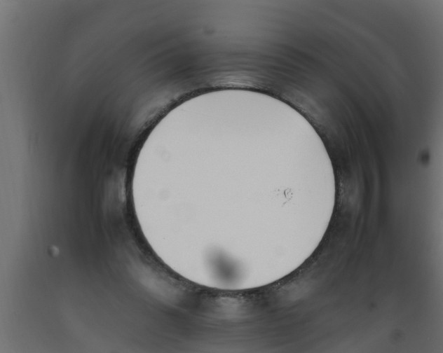 X0000089460302200707061309