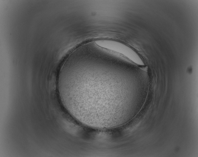 X0000089460303200707061308