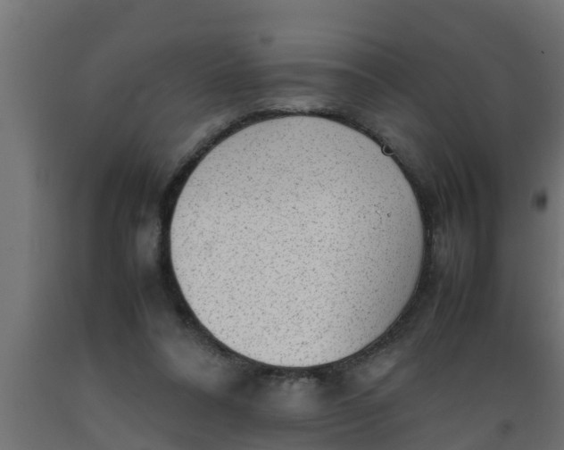 X0000089460304200707061308