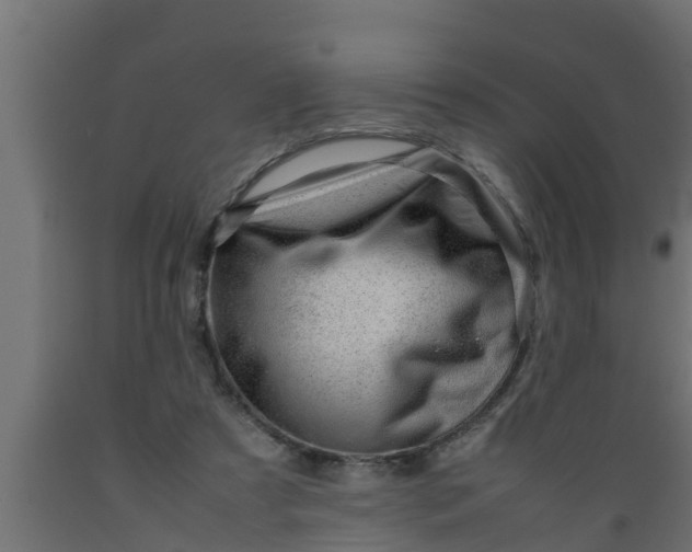 X0000089460305200707061308