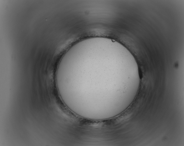 X0000089460306200707061308