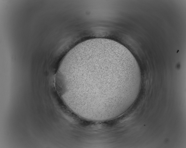 X0000089460307200707061308