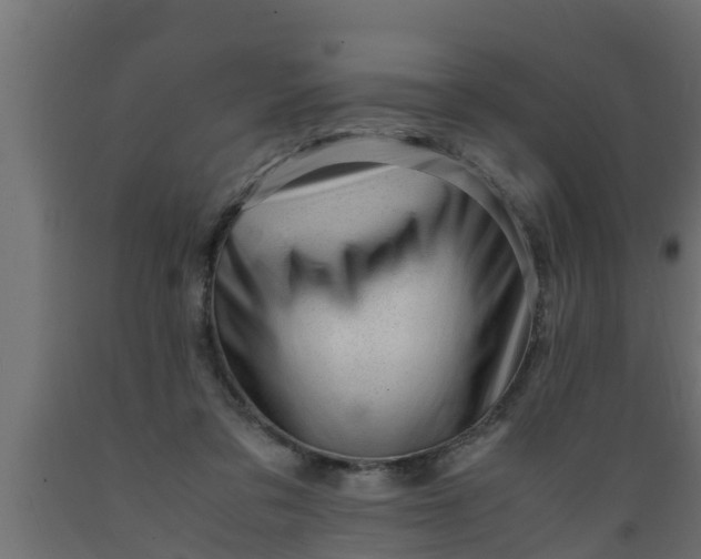 X0000089460309200707061308