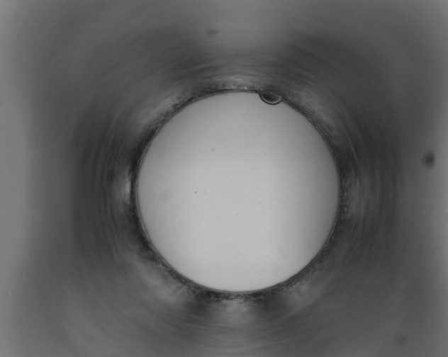 X0000089460310200707061308