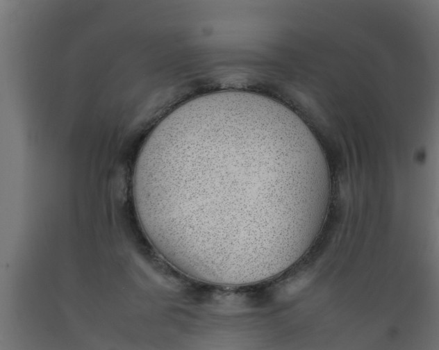 X0000089460311200707061308
