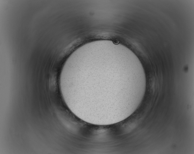 X0000089460312200707061308