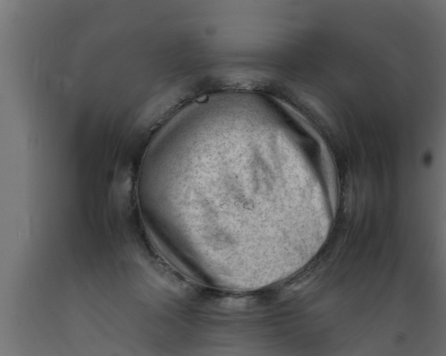 X0000089460314200707061308