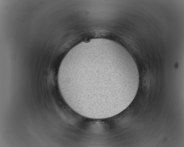 X0000089460316200707061308