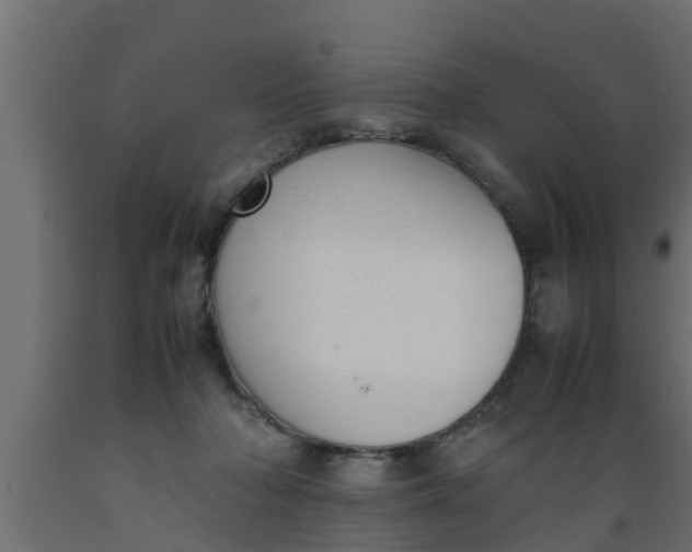 X0000089460318200707061308
