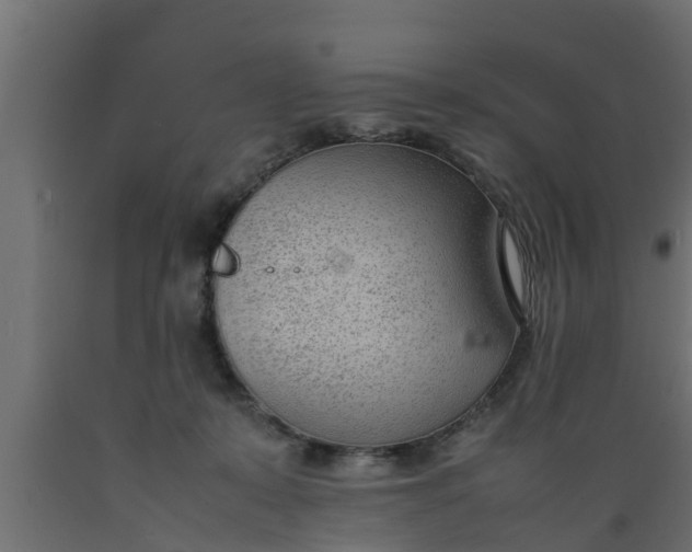 X0000089460319200707061308