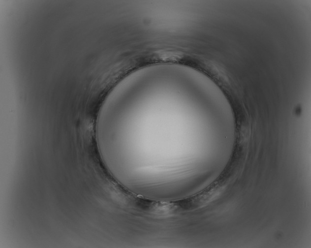 X0000089460321200707061308