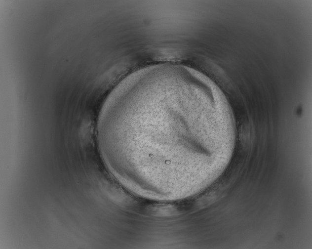 X0000089460322200707061308