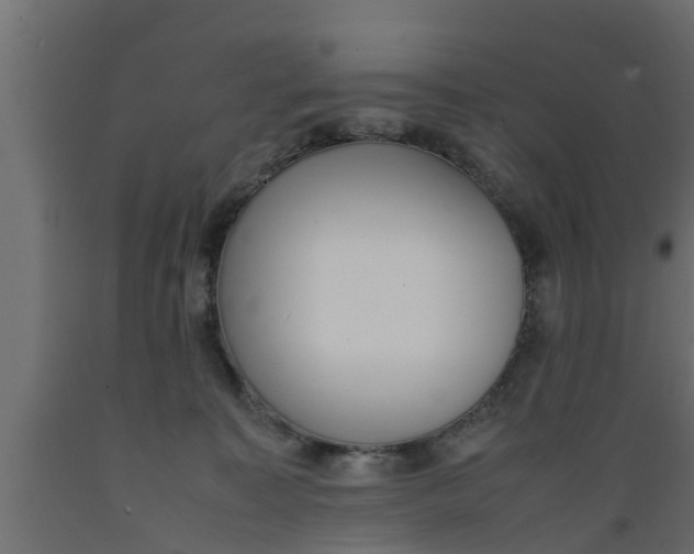 X0000089460323200707061308
