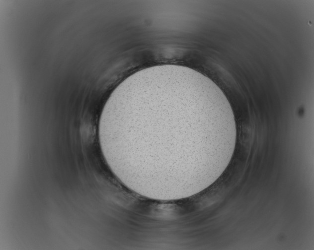X0000089460324200707061308