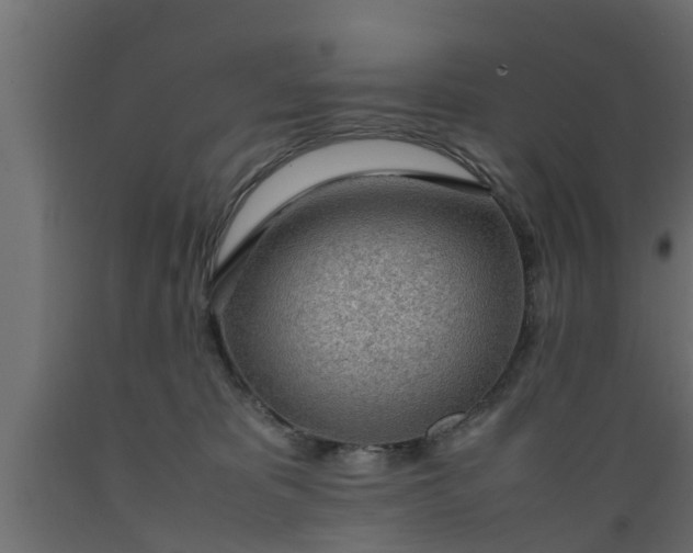 X0000089460325200707061308
