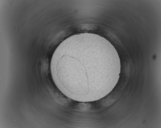 X0000089460328200707061308