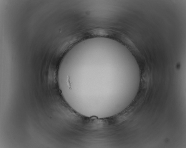 X0000089460330200707061308