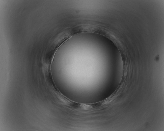 X0000089460333200707061308