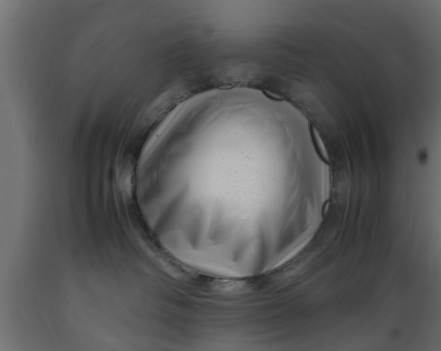 X0000089460334200707061308