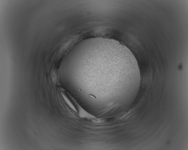 X0000089460335200707061308