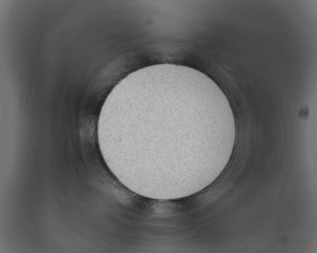 X0000089460336200707061308