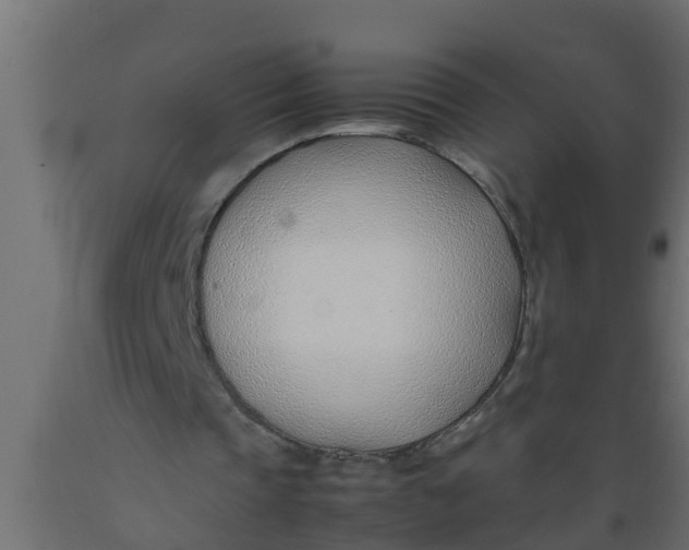 X0000089460337200707061307