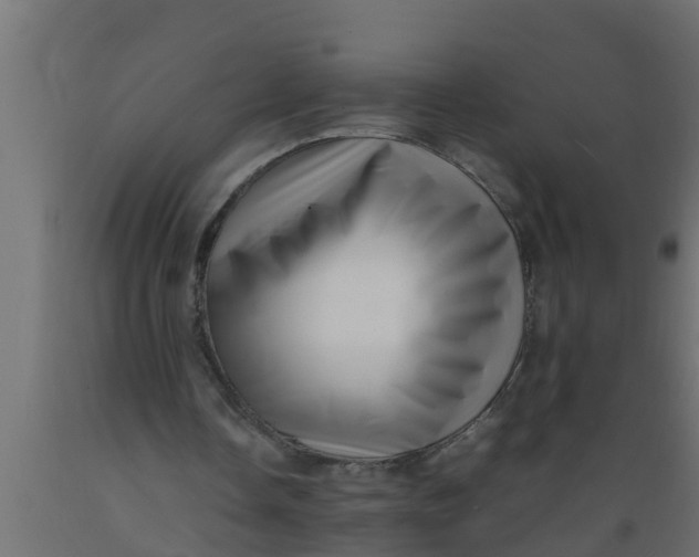 X0000089460338200707061307