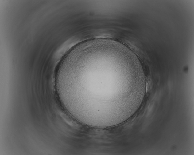 X0000089460339200707061308