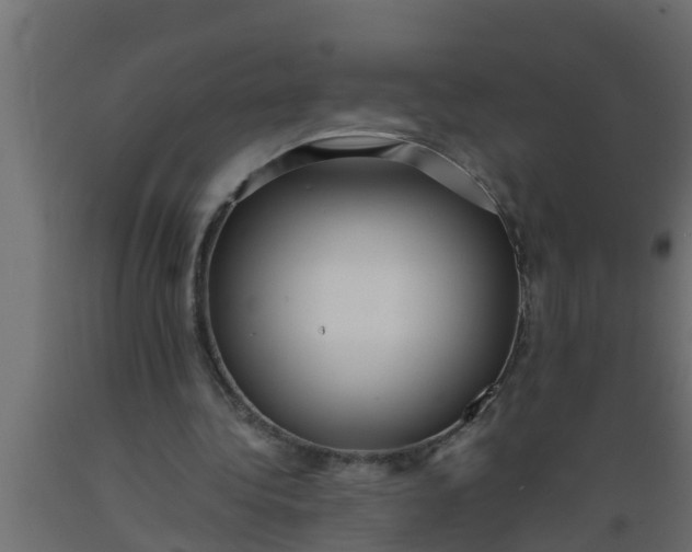 X0000089460340200707061308