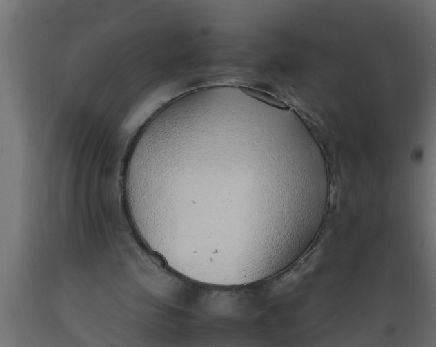 X0000089460341200707061308