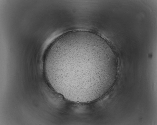X0000089460343200707061308
