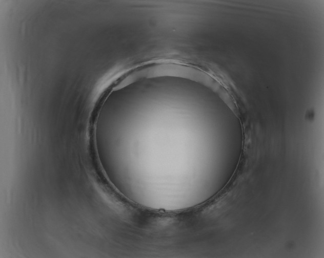 X0000089460344200707061308