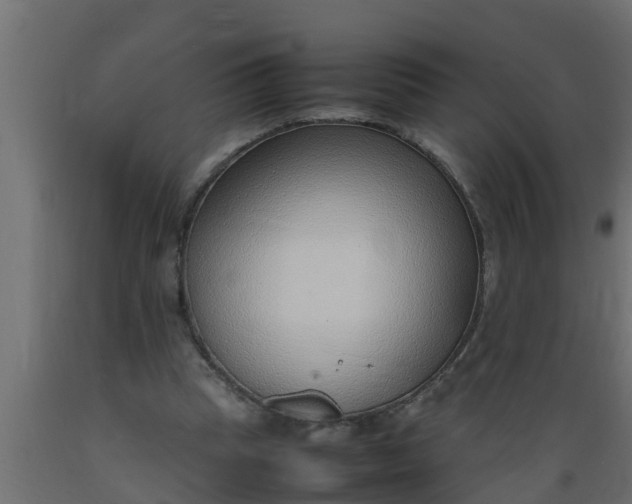X0000089460345200707061308