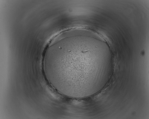 X0000089460346200707061308