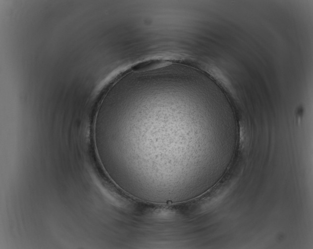 X0000089460348200707061308