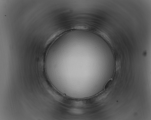 X0000089460349200707061308