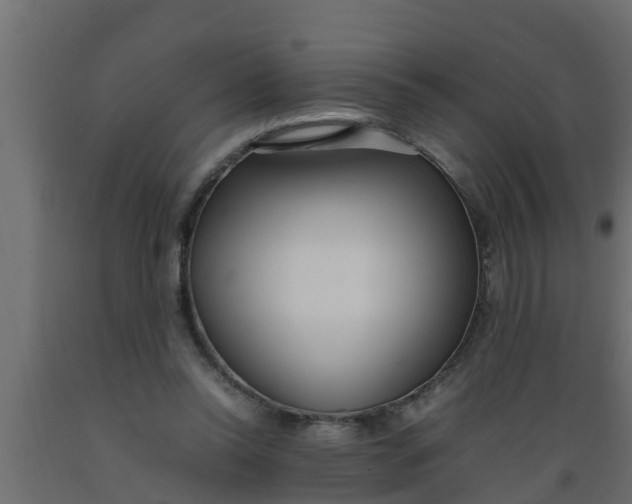 X0000089460350200707061308