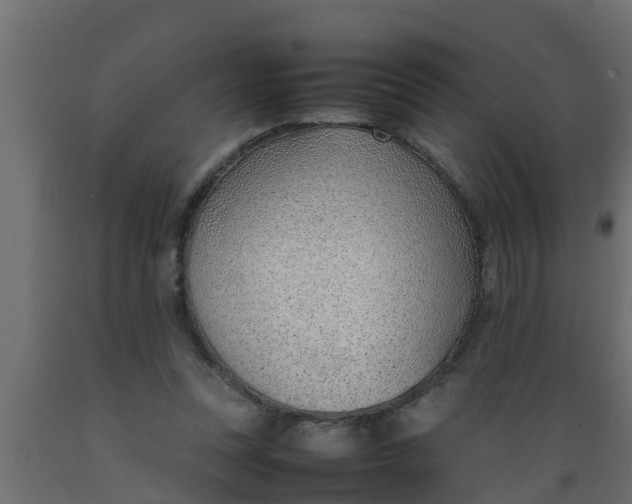 X0000089460351200707061308