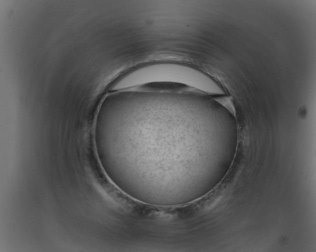X0000089460352200707061308
