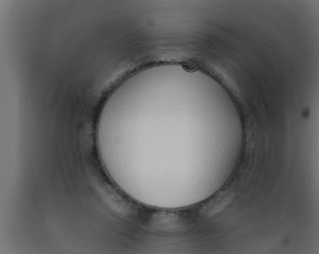 X0000089460354200707061308