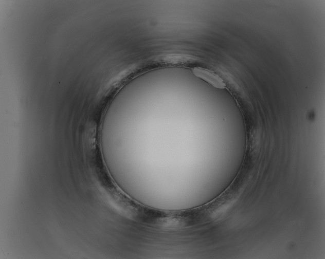 X0000089460356200707061308
